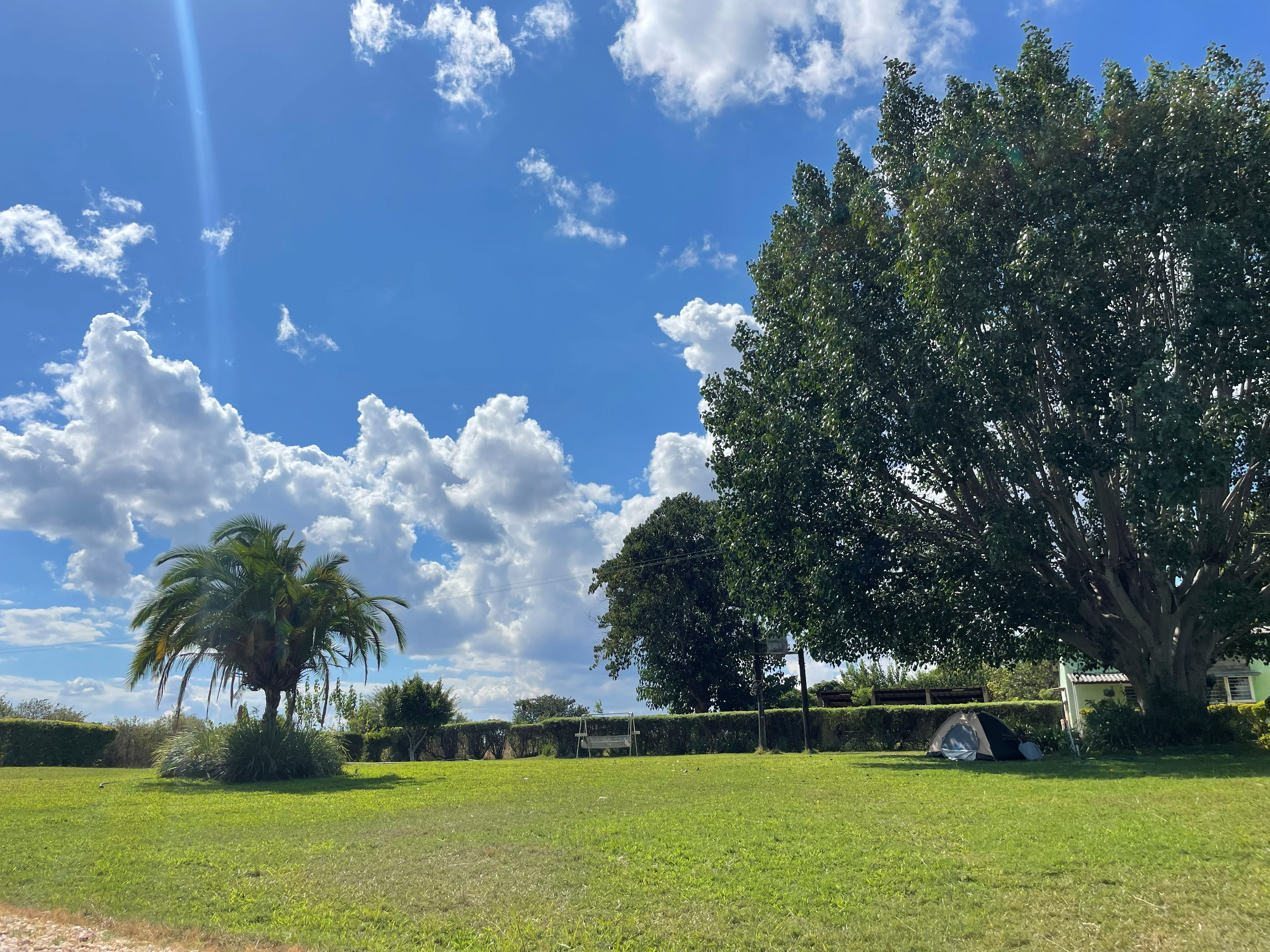Shaded lawn by the water