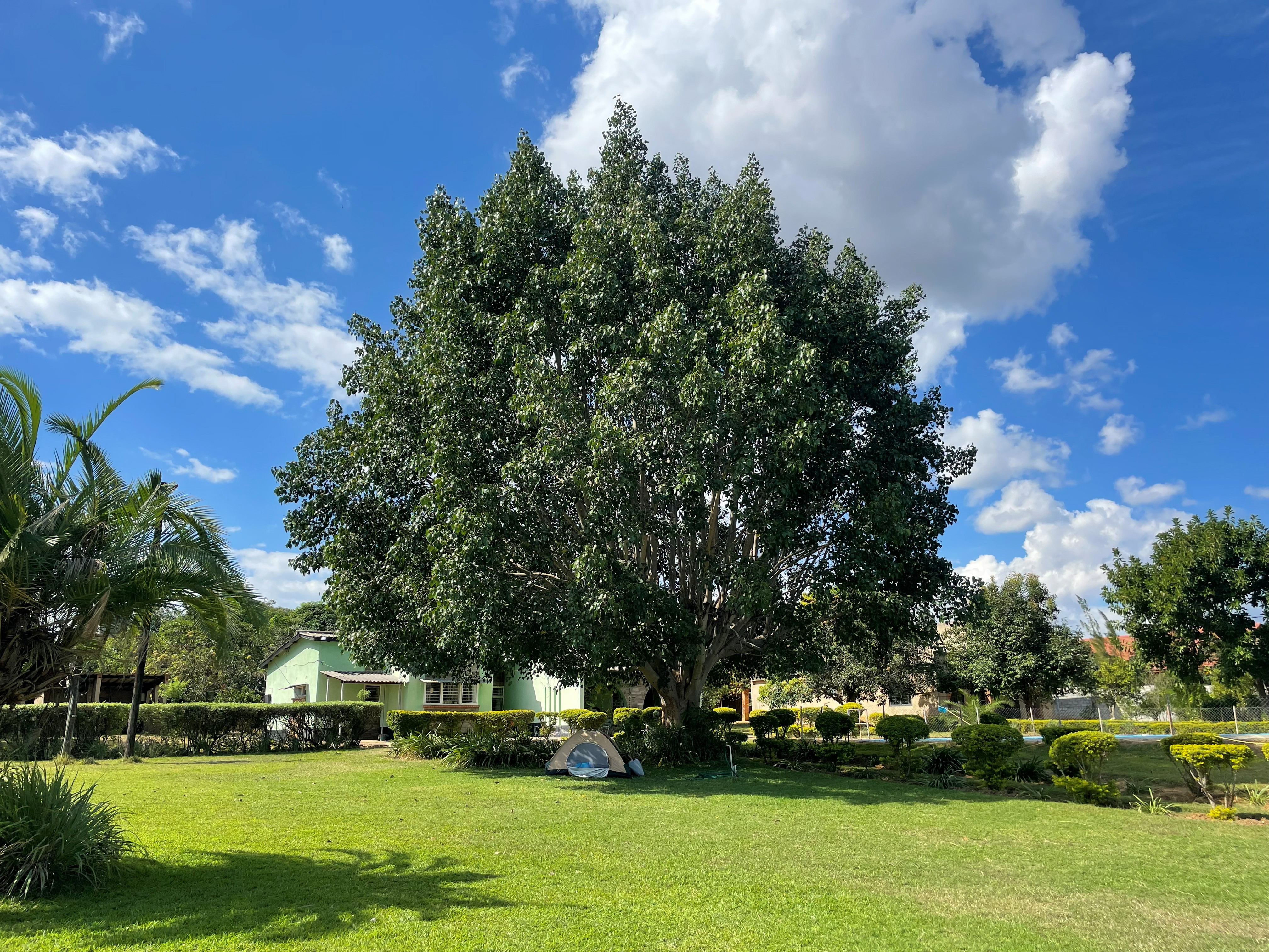 Shaded lawns along the riverbank