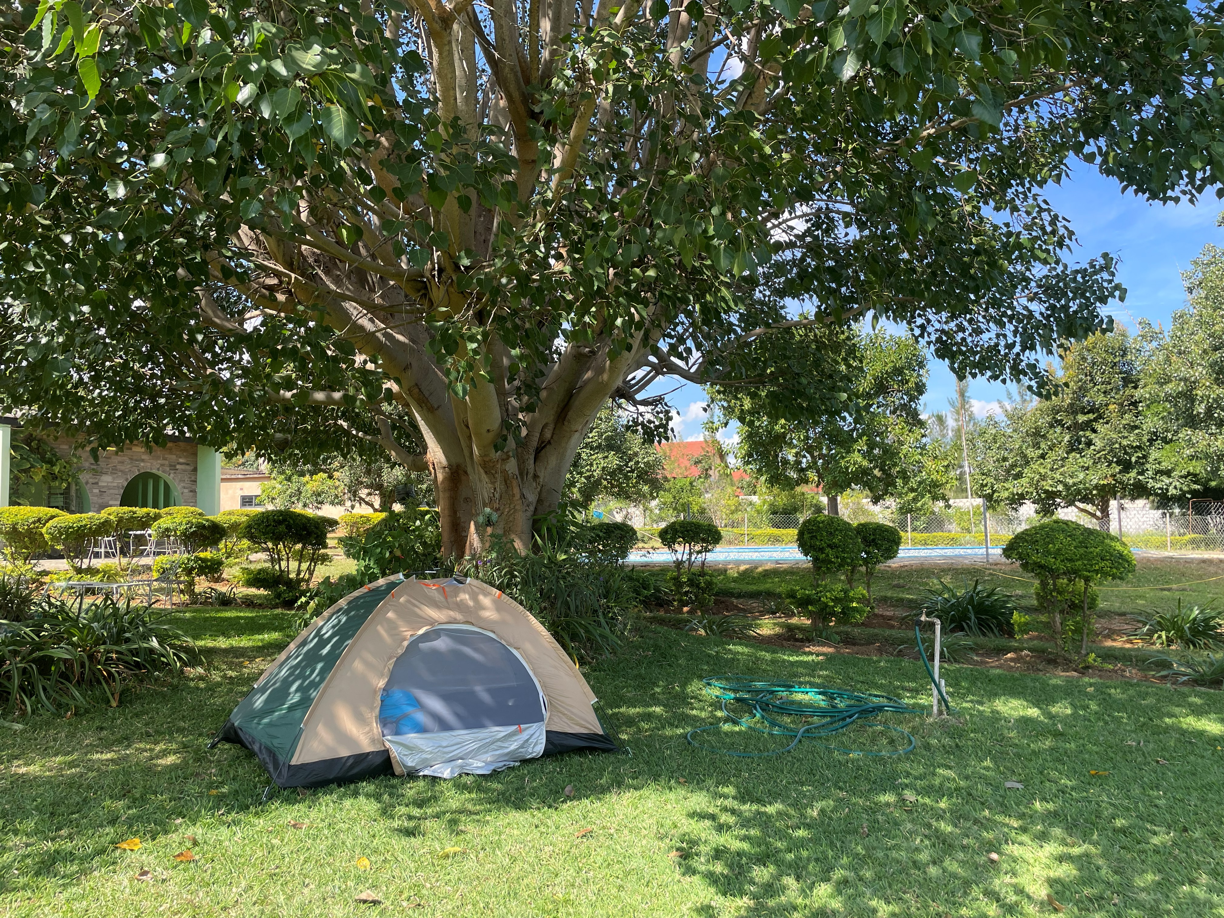 Tent pitched under a shade tree at Riverview Farm